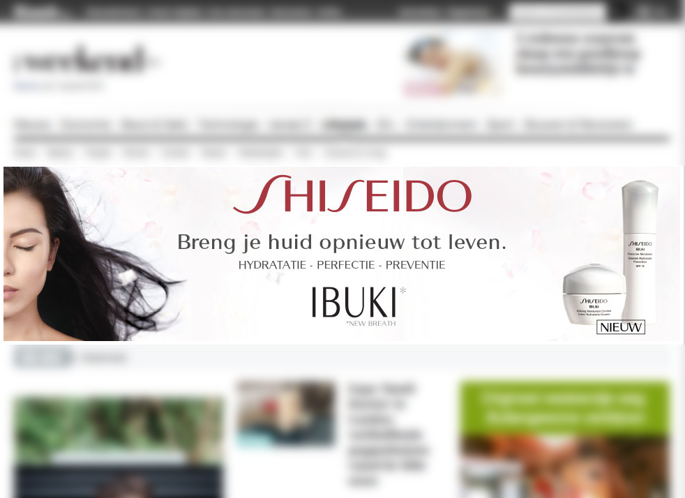 online_advertising_formats4.png